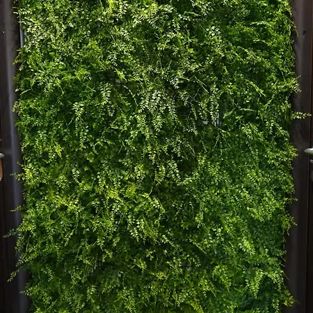 アパート 200 Mt Quattro Canti- Rovere